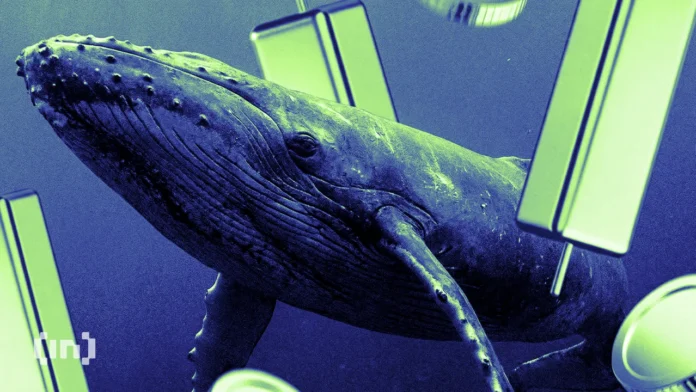The Whale Behind $29.75 Million in Wins Just Went Long on Ethereum